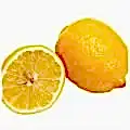 Limon Fidanı