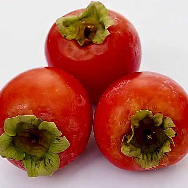Hachiya Mingəçevir Hurması Hachia