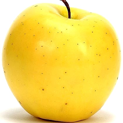 Golden Elma Fidanı