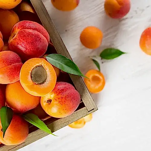 Kırmızı Kayısı Fidanı Prunus Armeniaca