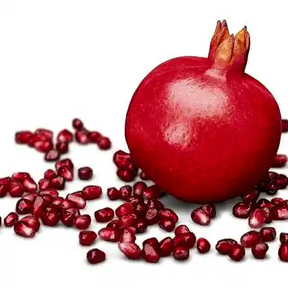 Caner Nar Fidanı