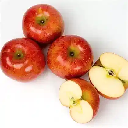 Fuji Elma Ağacı Fidanı