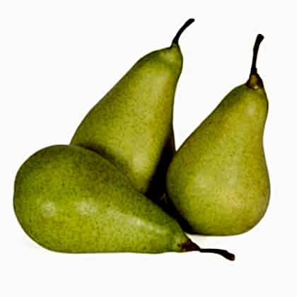 Limon Armut Fidanı
