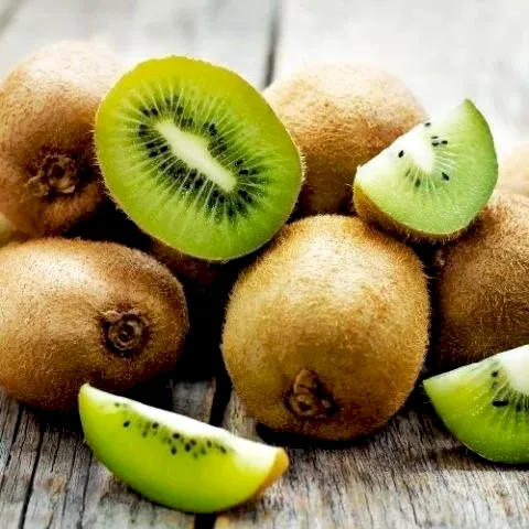 Aşılı Kivi Fidanı