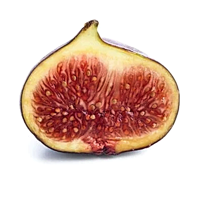 Patlıcan İnciri Fidanı Ficus Carica