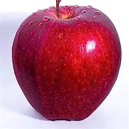 Scarlet Spur Elma Fidanı