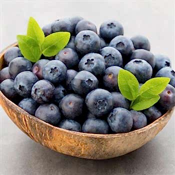 Sharp Blue Yaban Mersini 15 cm Likapa Maviyemiş