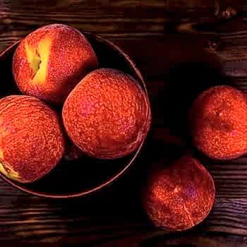 Tastired Şeftali Fidanı