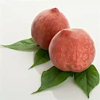 Hale Şeftali Fidanı