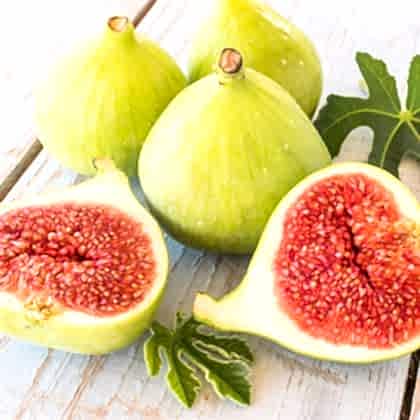 Quba Beyazı İncir Fidanı Ficus Carica