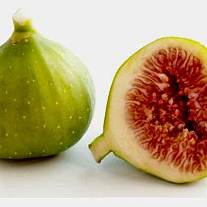 Yeşil Güz İnciri Fidanı Ficus Carica