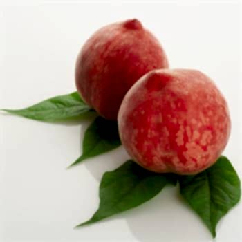Red Elegant Şeftali Fidanı