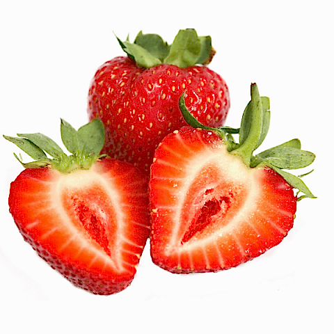 Aromas Çilek Fidesi 10 Adet