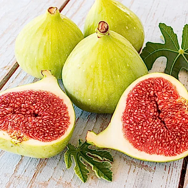 Naxçıvan Sarı Lop İncir Fidanı