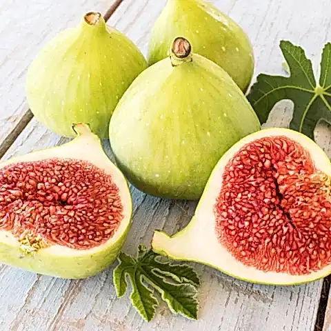 Naxçıvan Sarı Lop İncir Fidanı