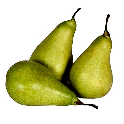 Limon Armut Fidanı