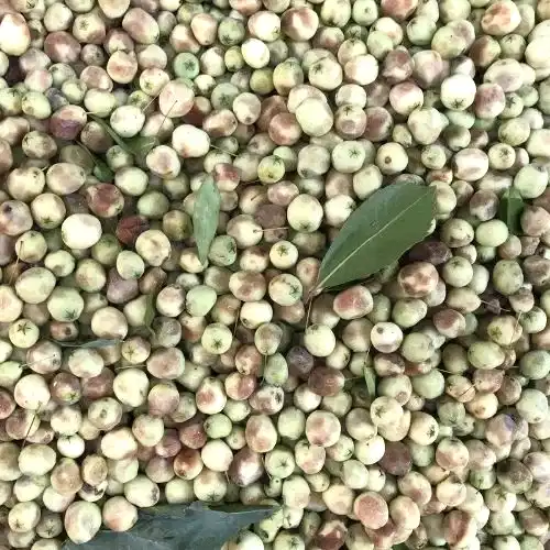 Mingəçevir Ağacı Fidanı Murt Beyaz